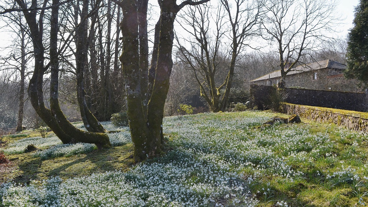 Photo of Outdoor in Wigton