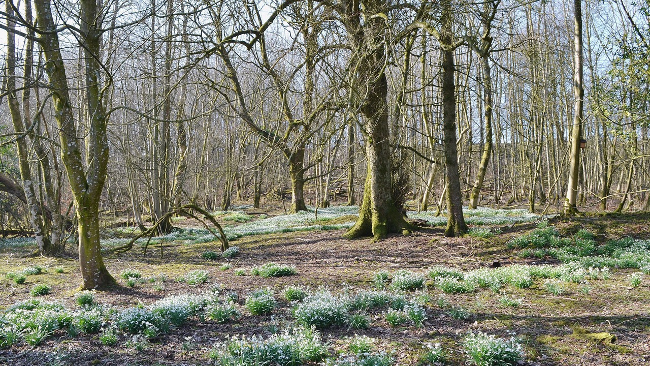 Photo of Outdoor in Wigton