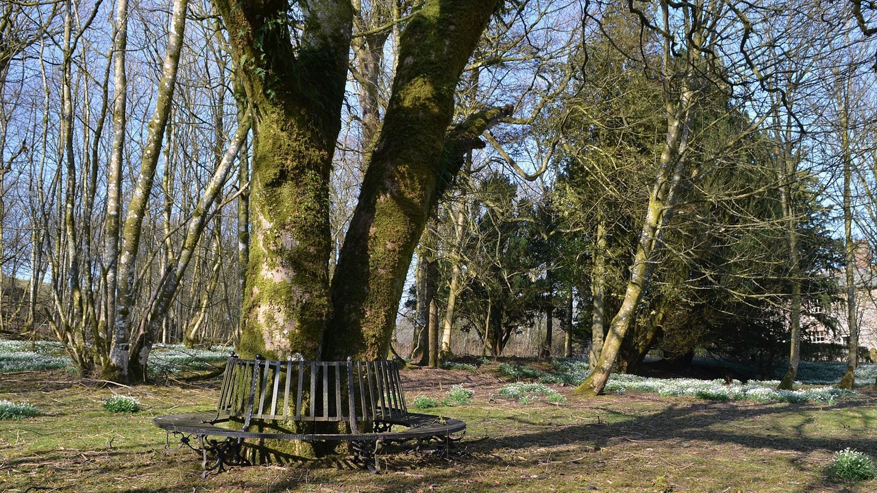 Photo of Outdoor in Wigton