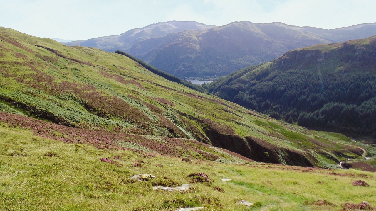 Photo of Others in Strathyre