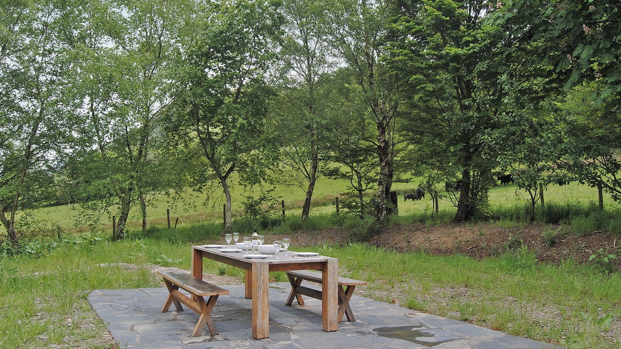 Photo of Others in Abergynolwyn