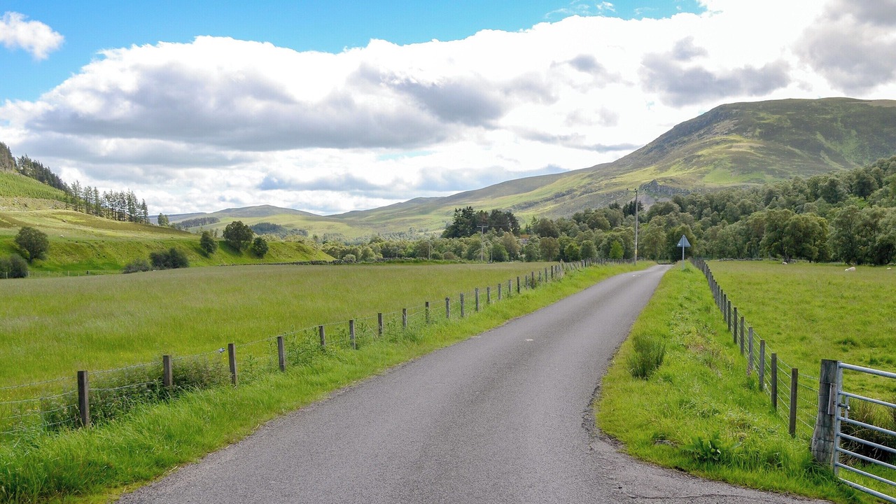 Photo of Others in Alrick