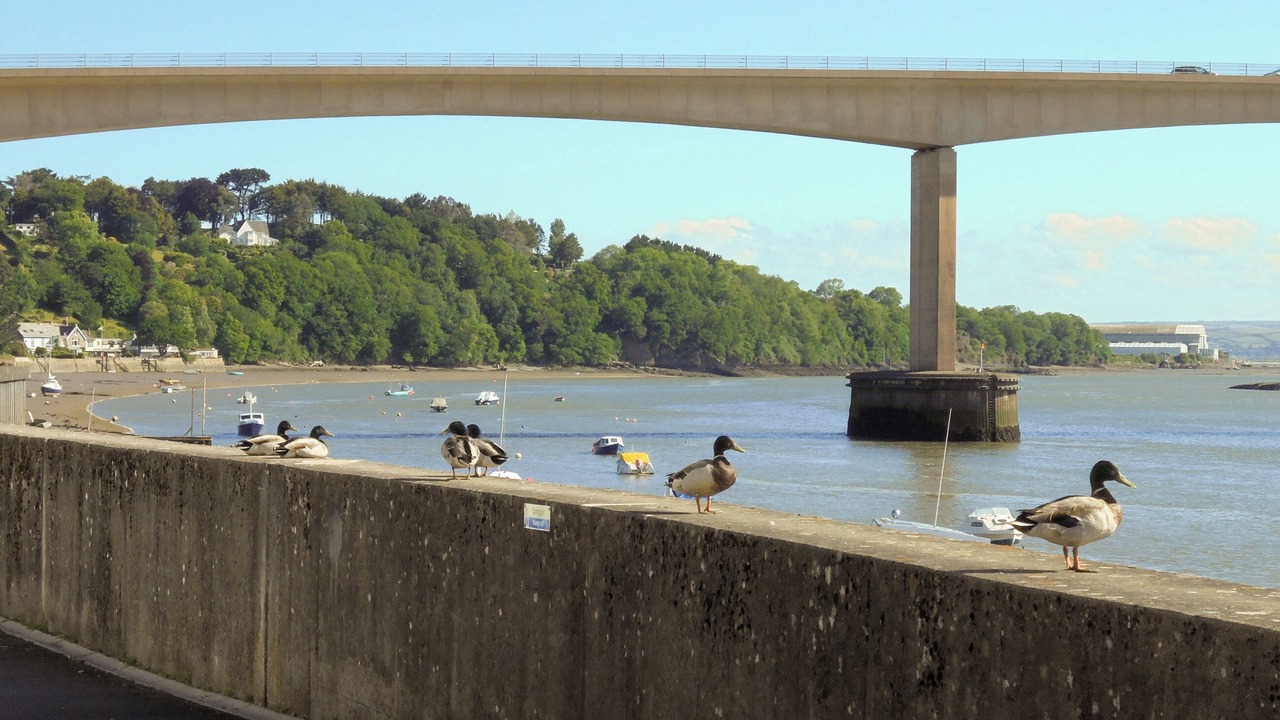 Photo of Others in Westleigh