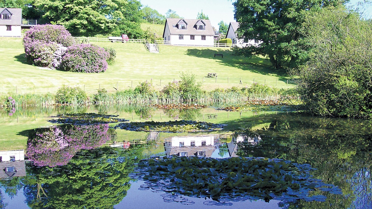 Photo of Others in Liskeard