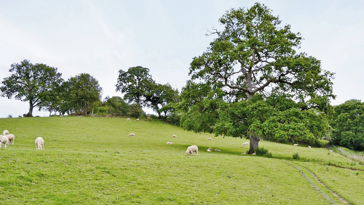 Photo of Others in Holcombe Burnell