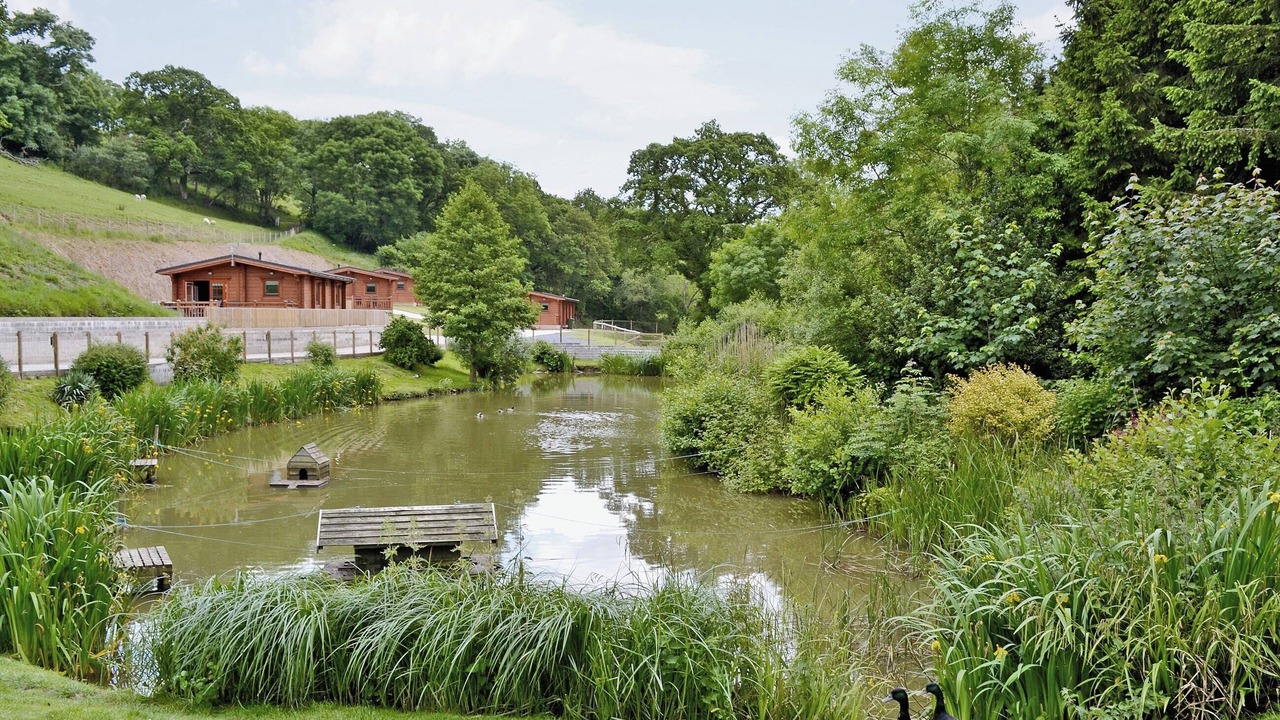 Photo of Others in Holcombe Burnell