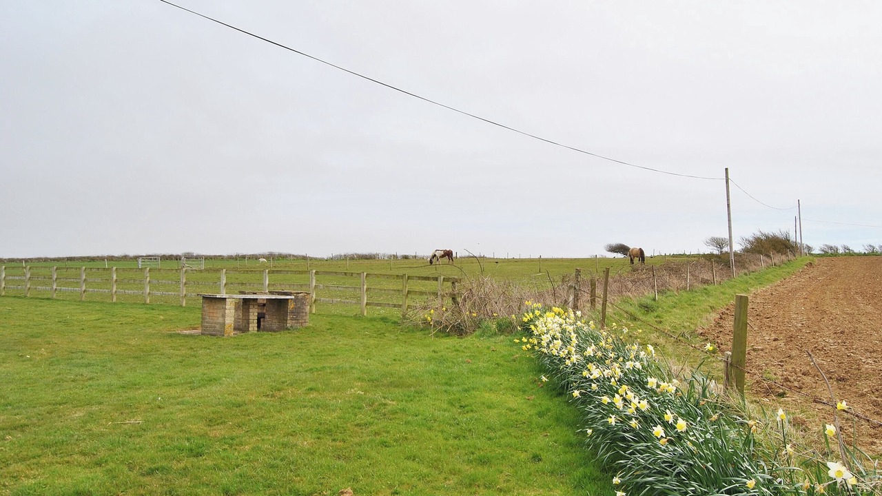 Photo of Others in Newport