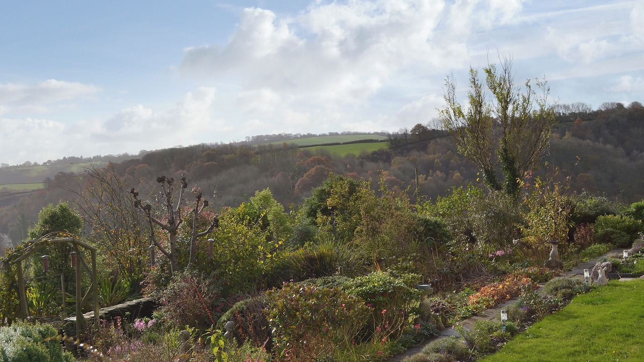 Photo of Others in Saint Blazey