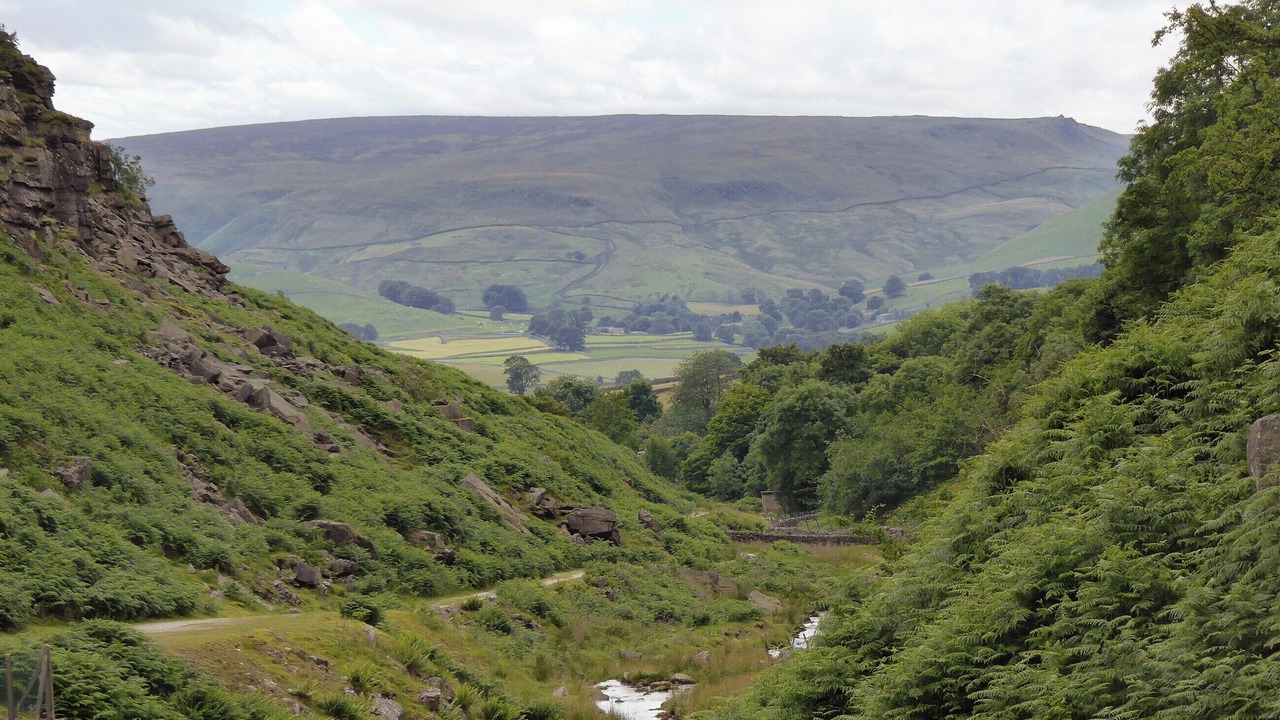 Photo of Others in Hebden