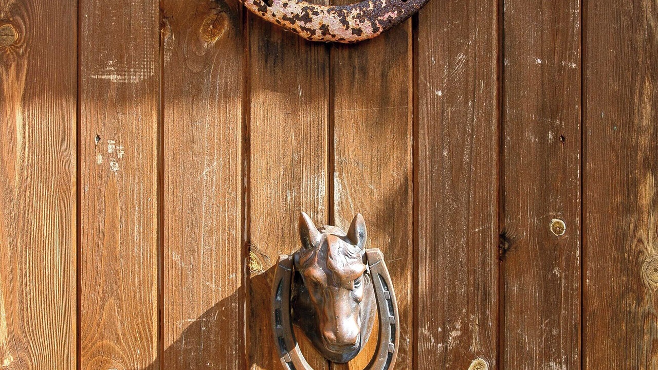 Photo of Outdoor in Lochearnhead