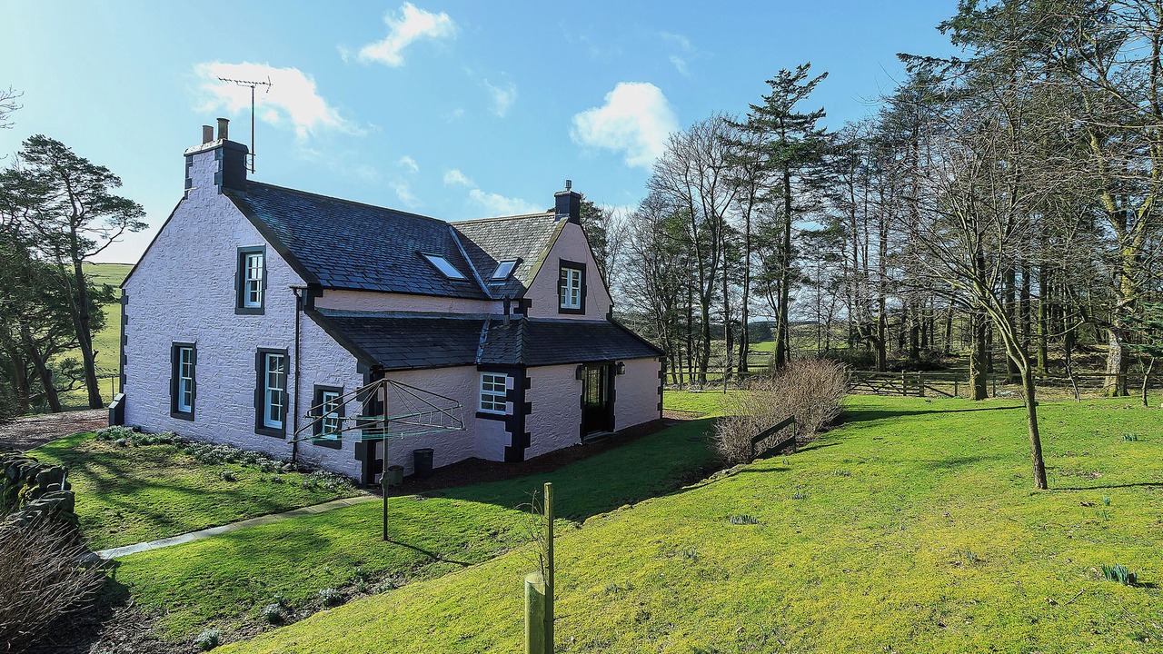 Photo of Others in Newbridge