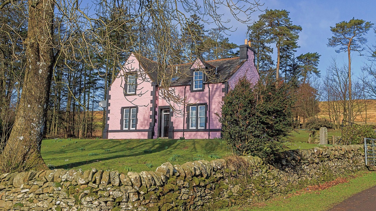 Photo of Others in Newbridge