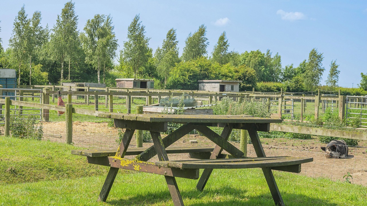 Photo of Others in Great Hatfield