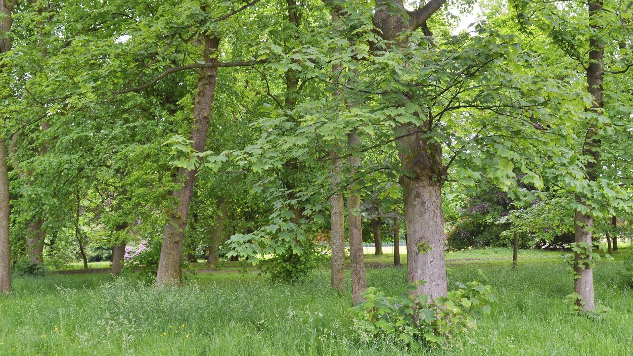 Photo of Others in Padfield