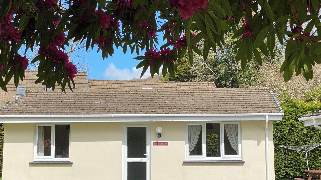 Photo of Others in Liskeard