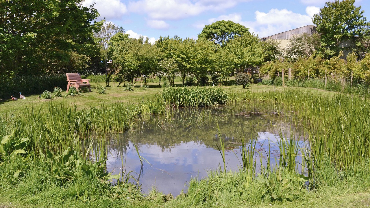 Photo of Others in Buckton