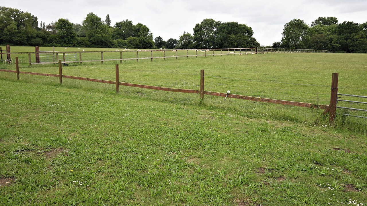 Photo of Outdoor in Beccles