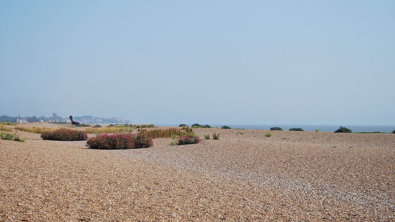 Photo of Others in Beccles