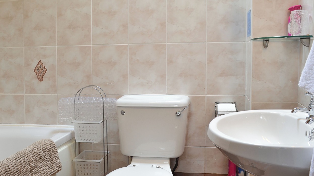 Photo of Bathroom in Bont Newydd
