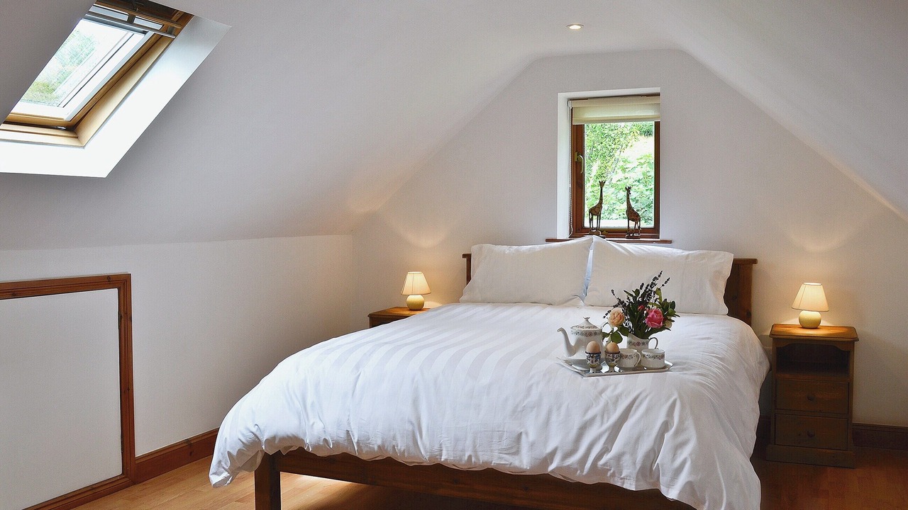 Photo of Others in Honiton