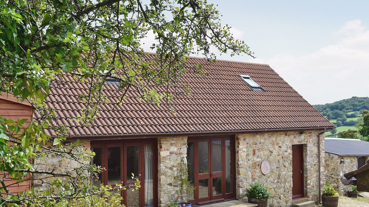 Photo of Others in Honiton