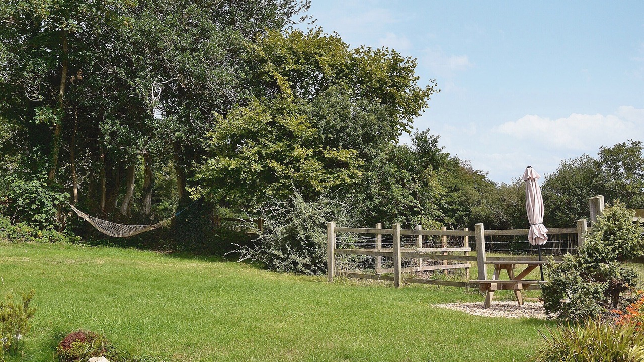 Photo of Outdoor in Honiton