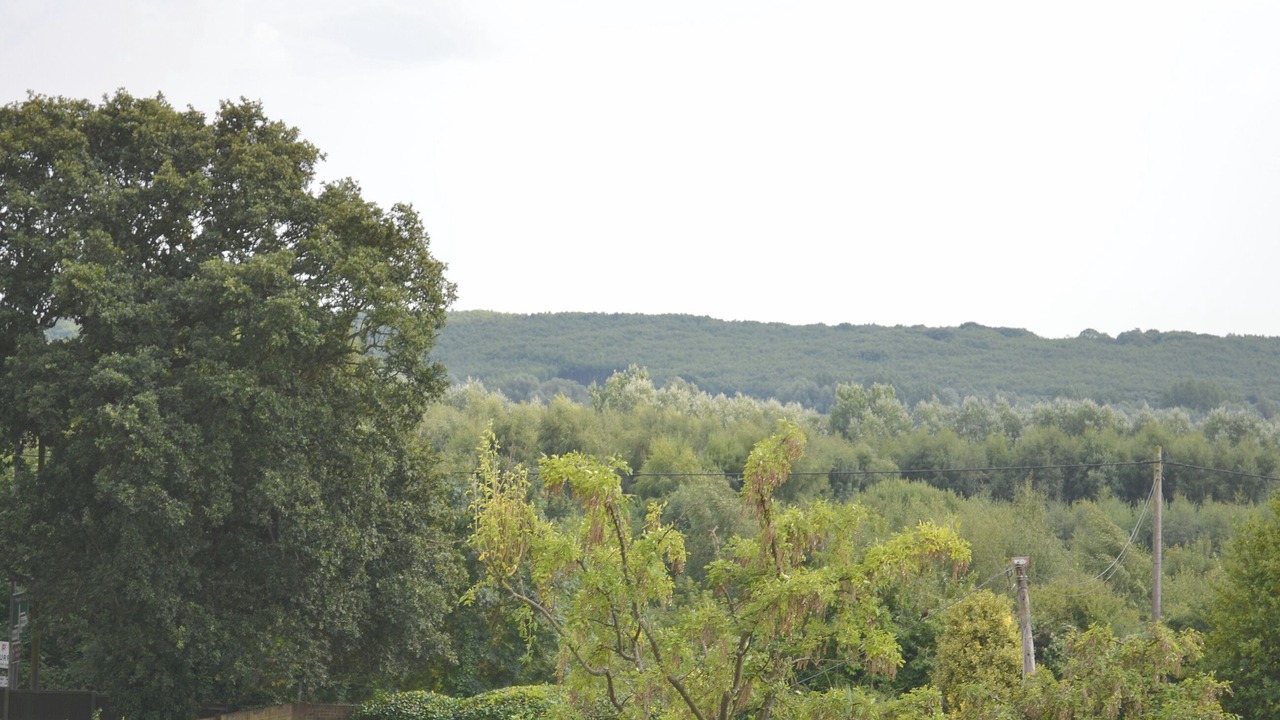 Photo of Others in Broad Oak