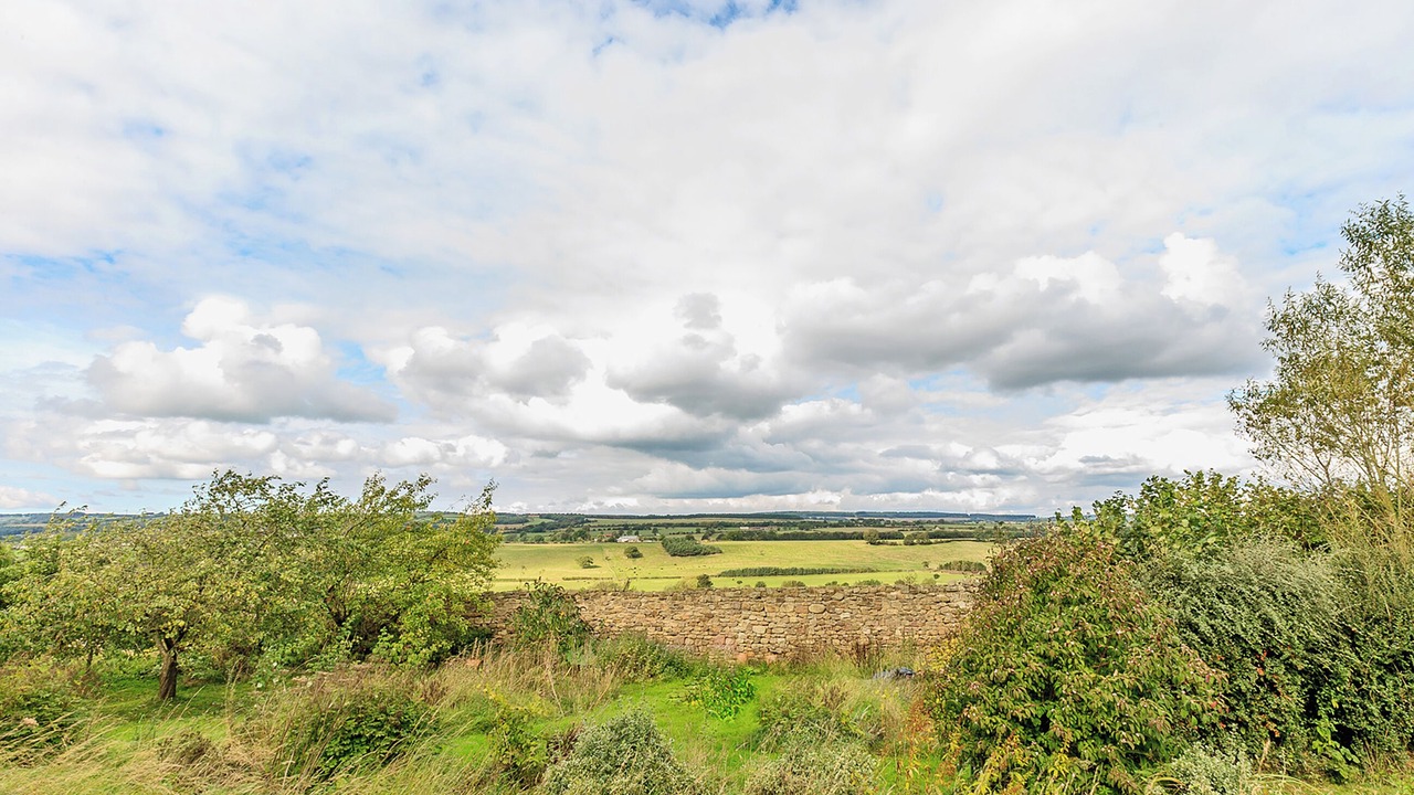 Photo of Others in Spennymoor