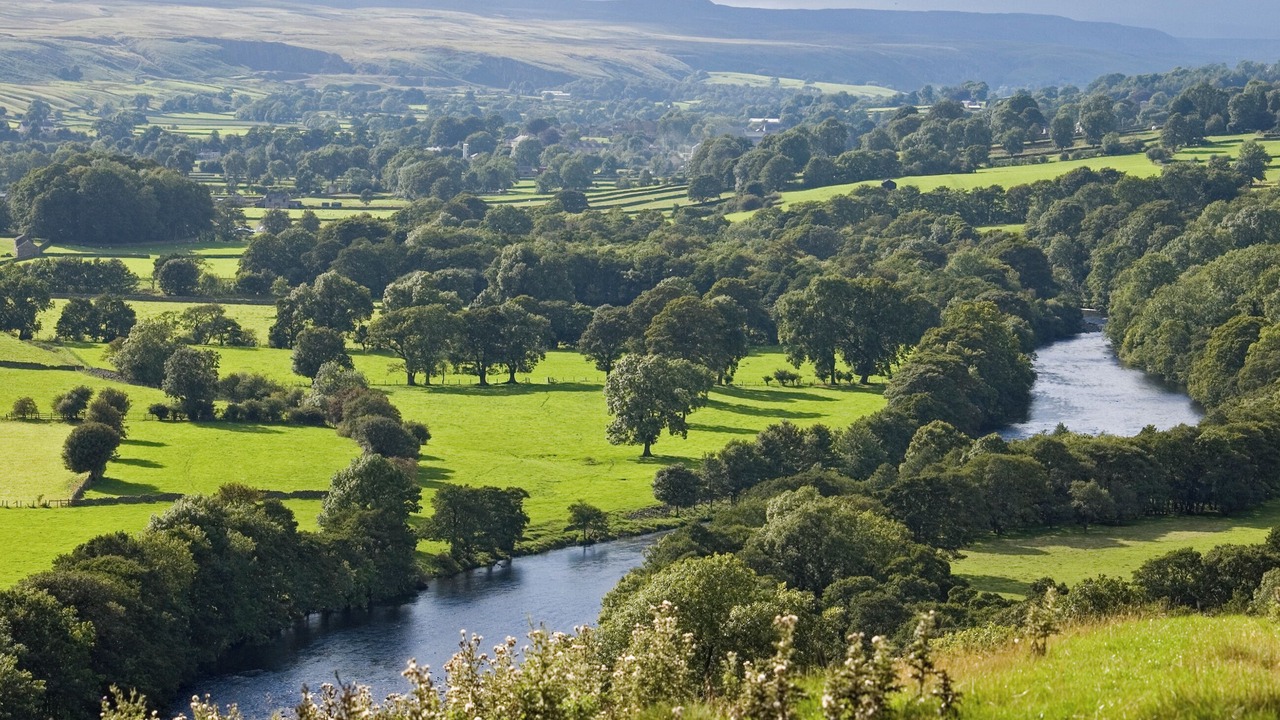 Photo of Others in Spennymoor