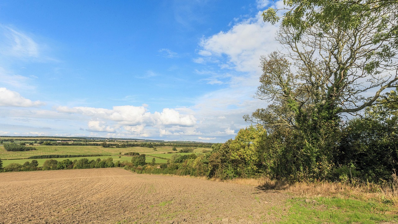 Photo of Others in Spennymoor