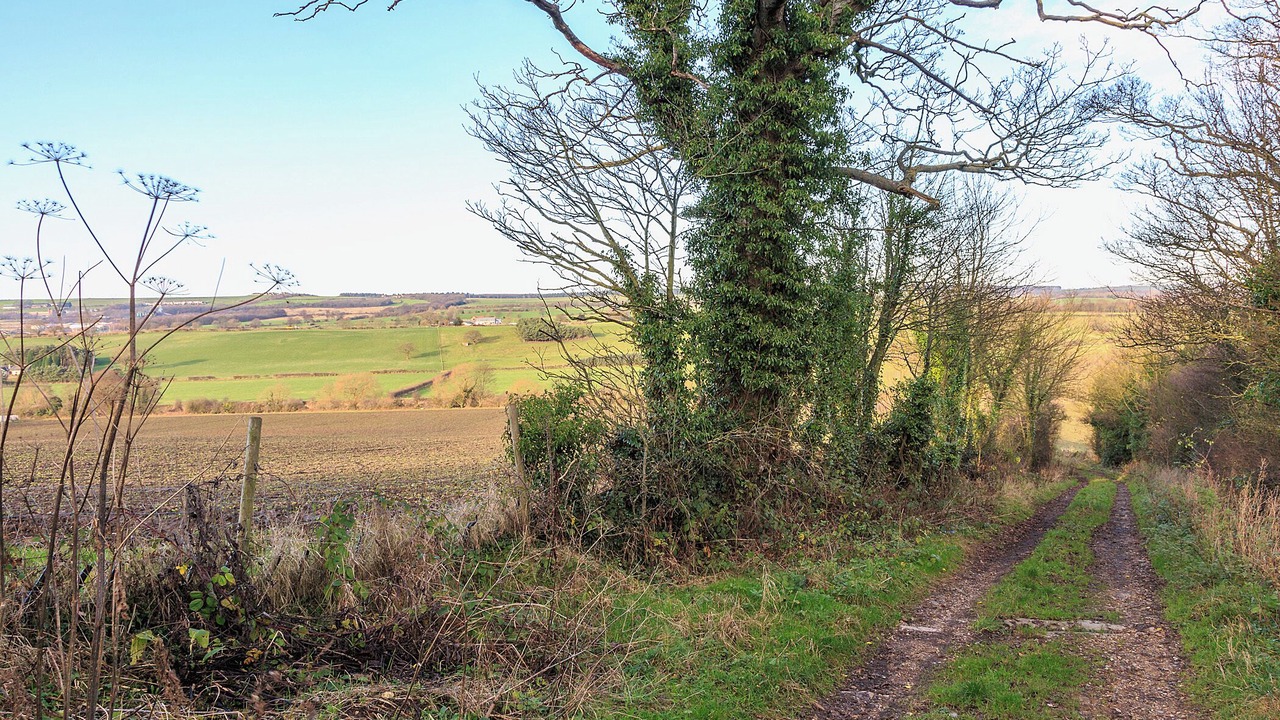 Photo of Others in Spennymoor