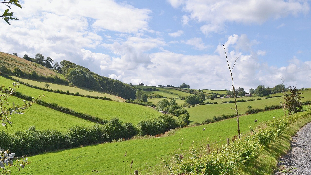 Photo of Others in Tirabad