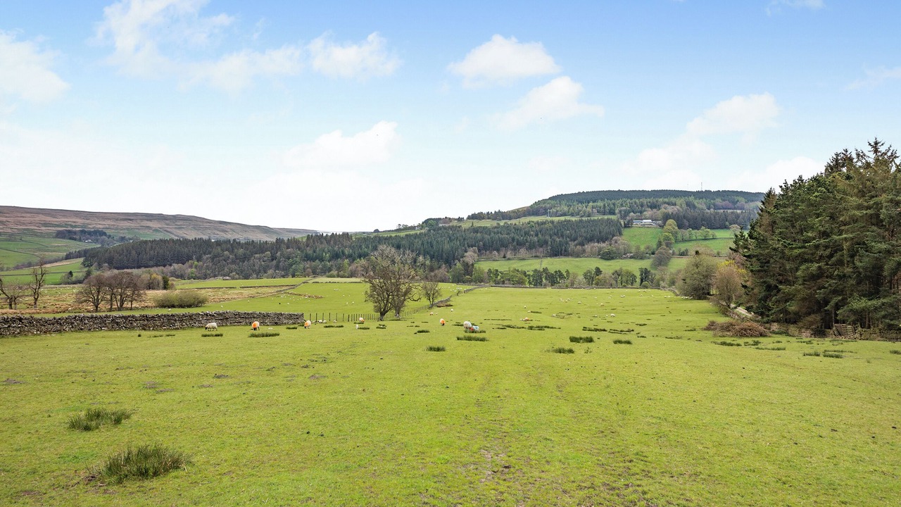 Photo of Others in Alston