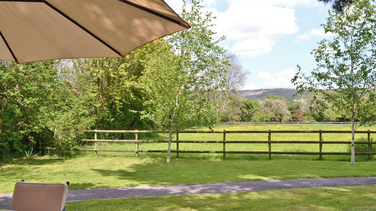 Photo of Others in Cheddar