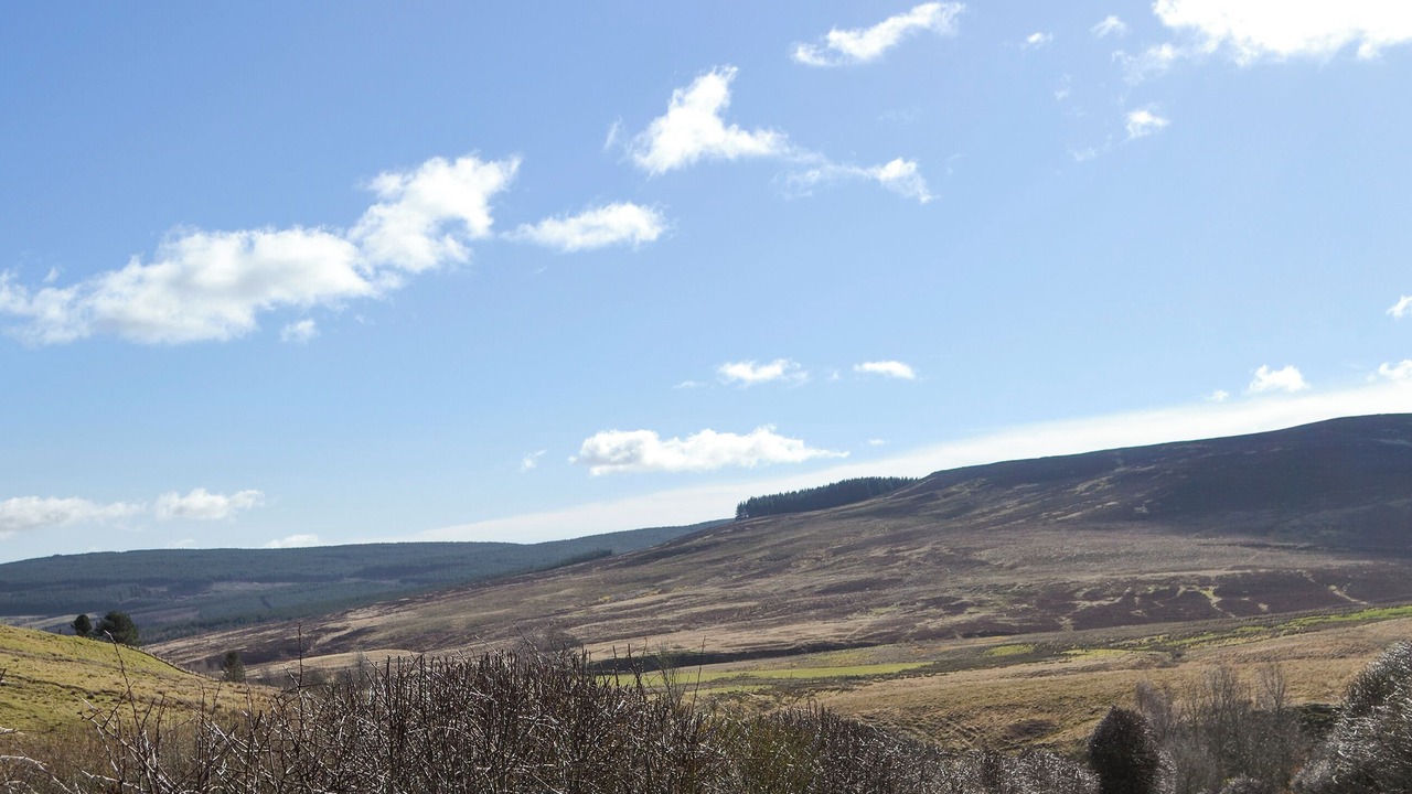 Photo of Others in Northumberland