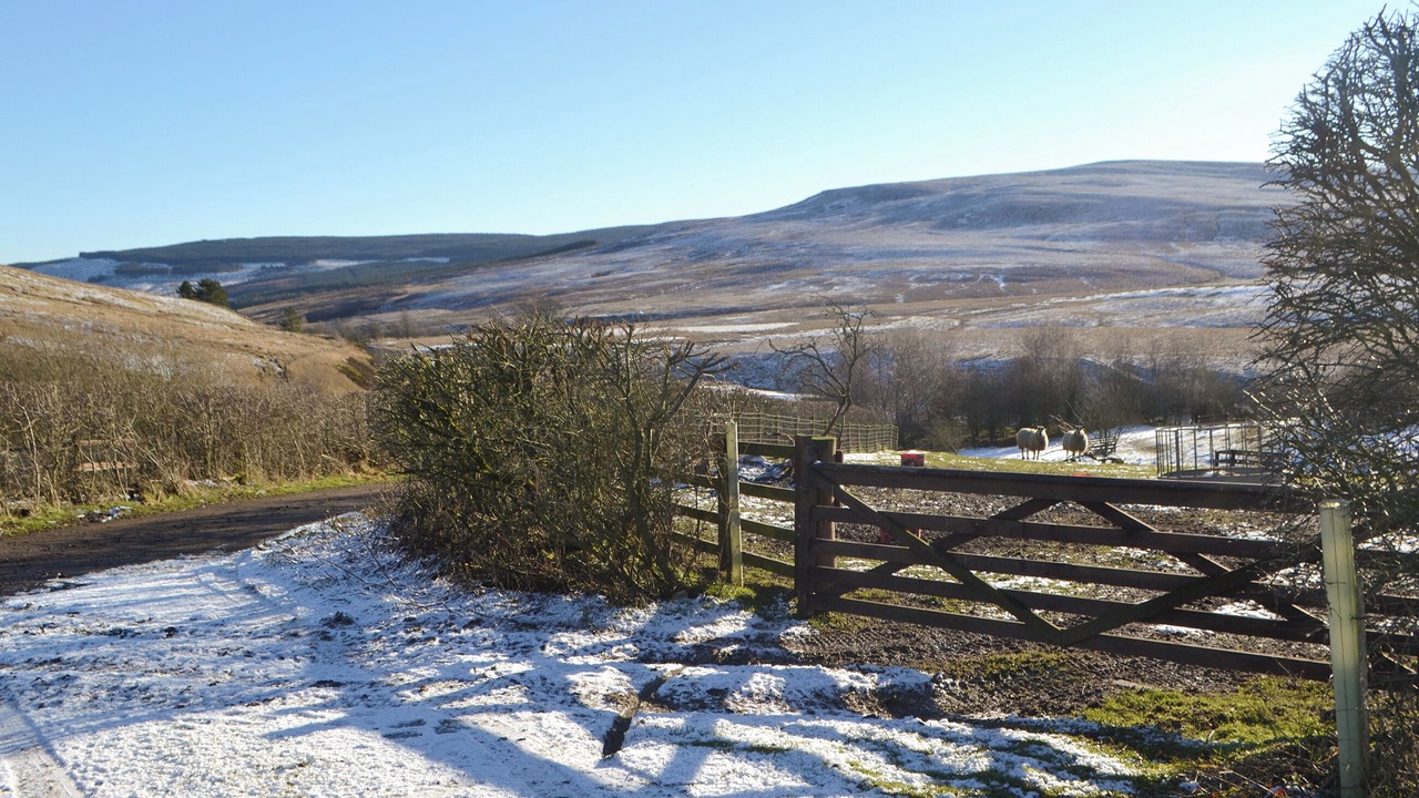 Photo of Others in Northumberland