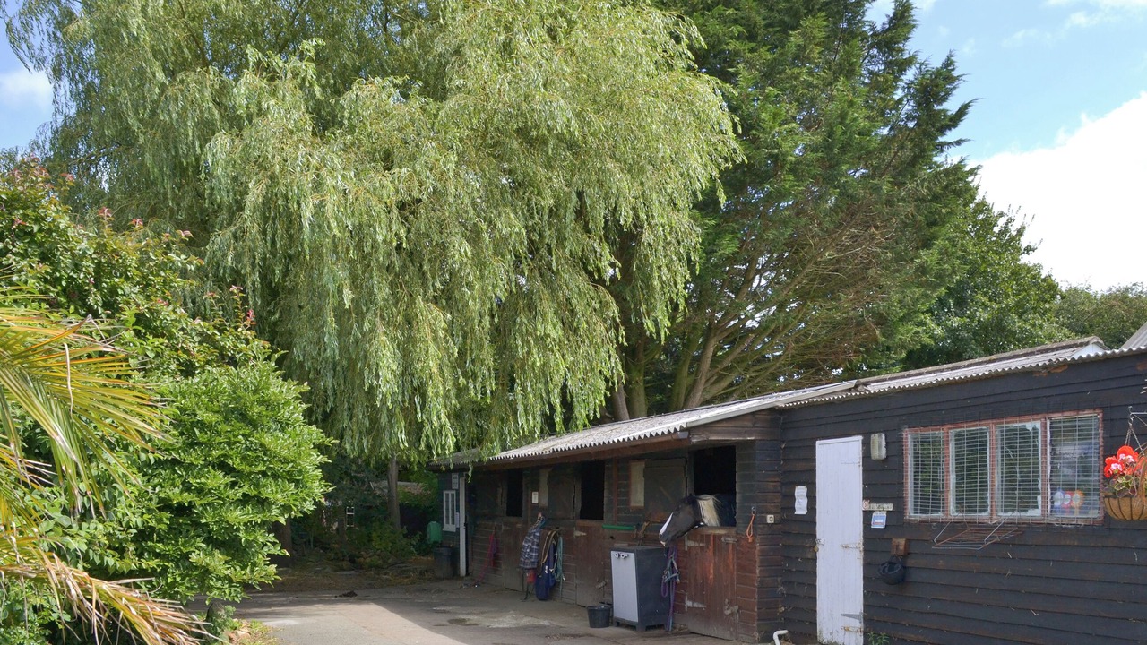 Photo of Others in Launceston