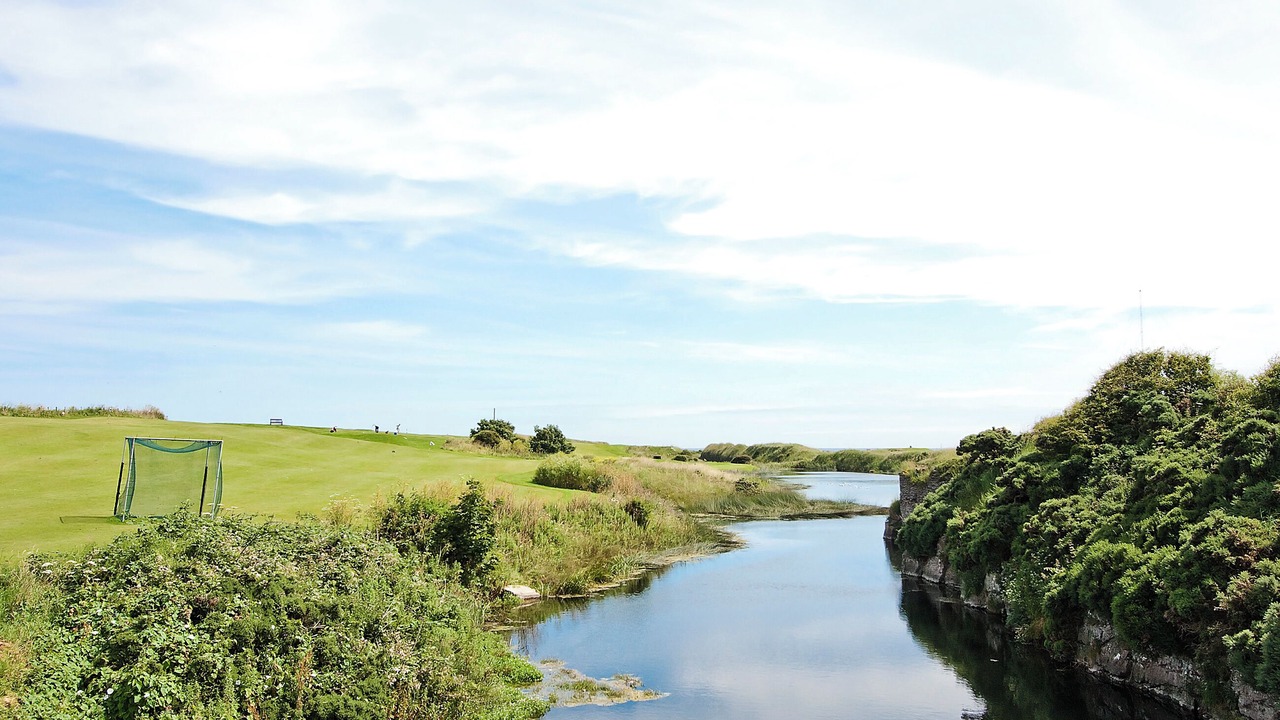 Photo of Others in Seahouses