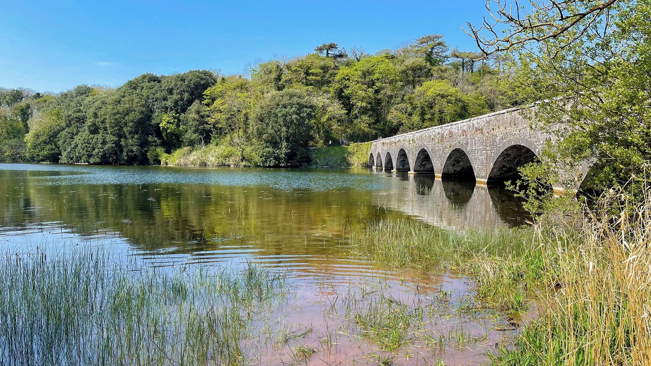 Photo of Others in Stackpole