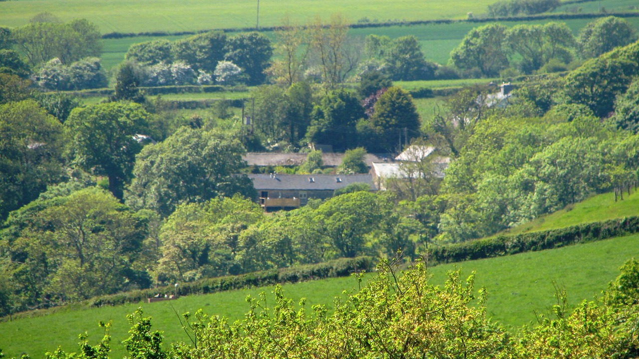 Photo of Others in Stackpole