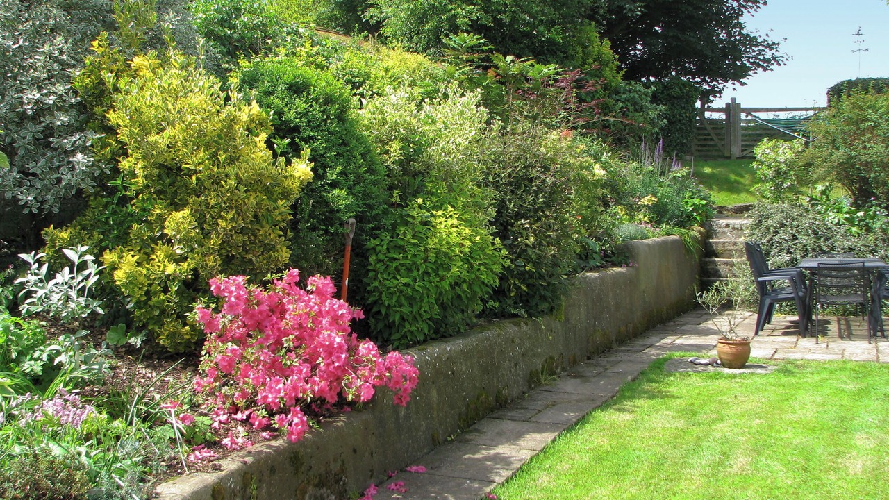 Photo of Others in Stackpole