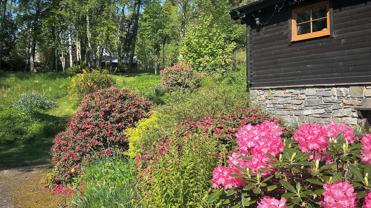 Photo of Outdoor in Newtonmore