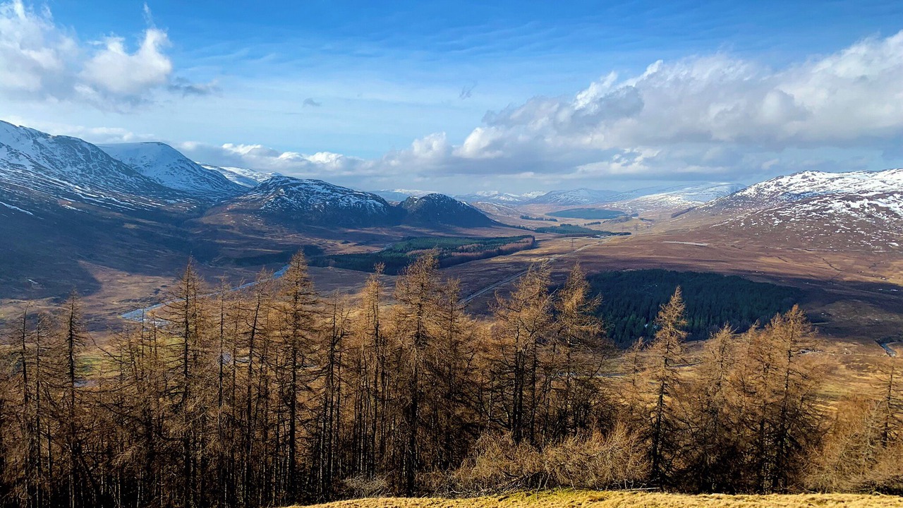 Photo of Others in Newtonmore
