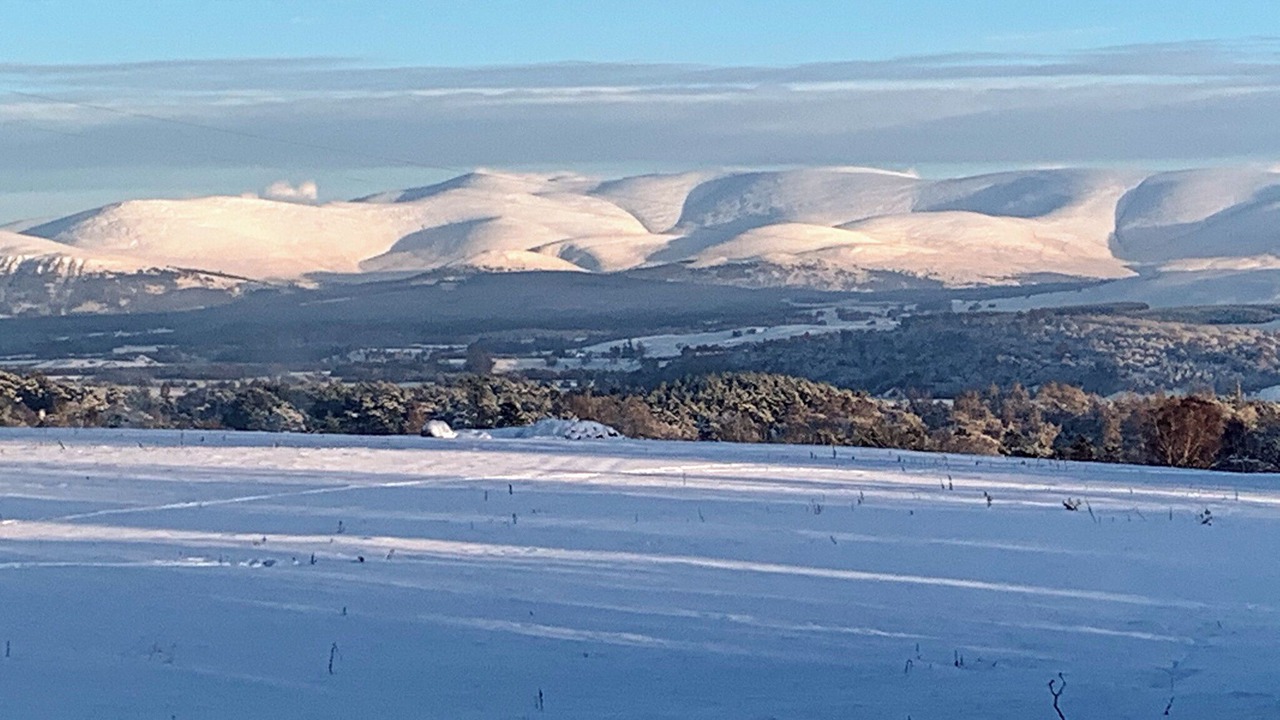 Photo of Others in Newtonmore