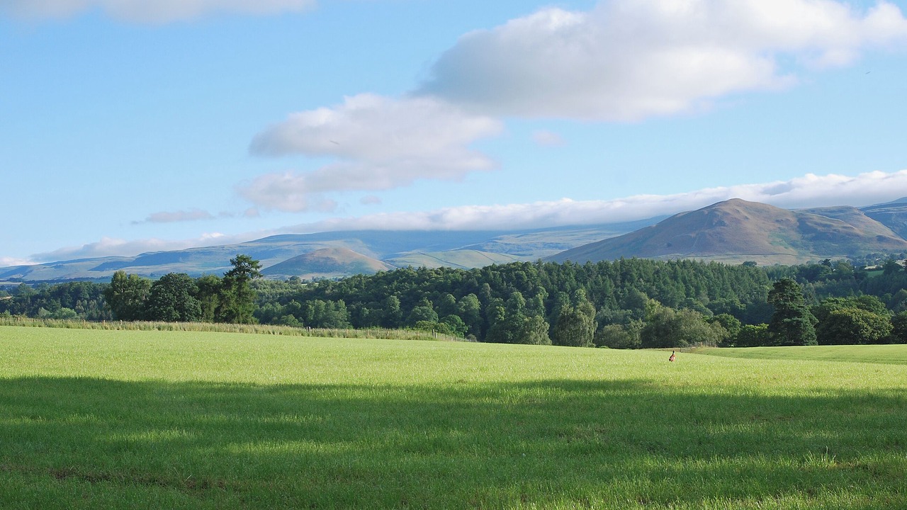 Photo of Others in Appleby-in-Westmorland