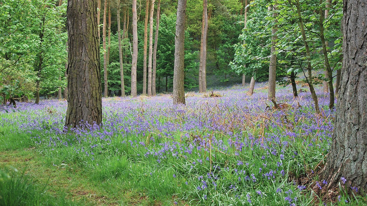 Photo of Others in Appleby-in-Westmorland