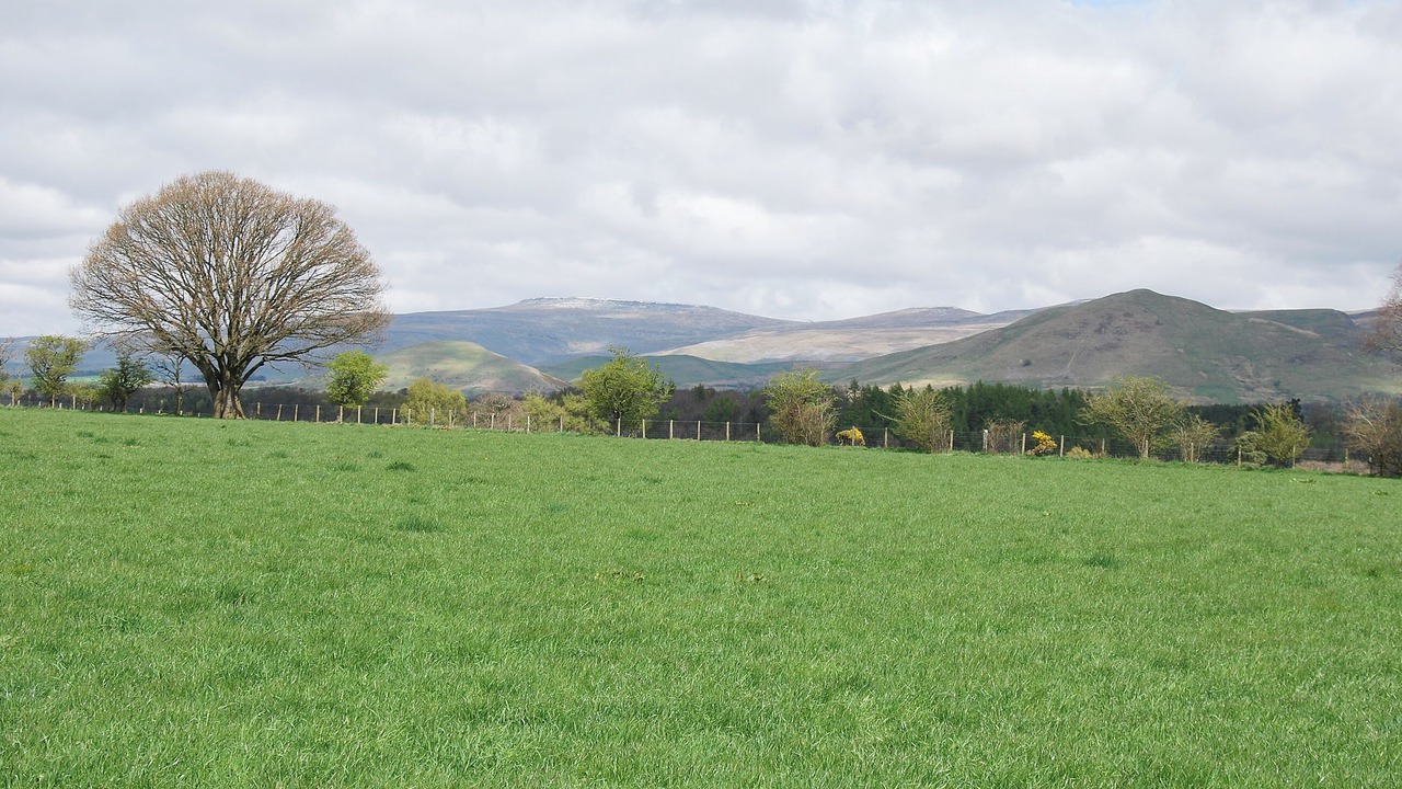 Photo of Others in Appleby-in-Westmorland