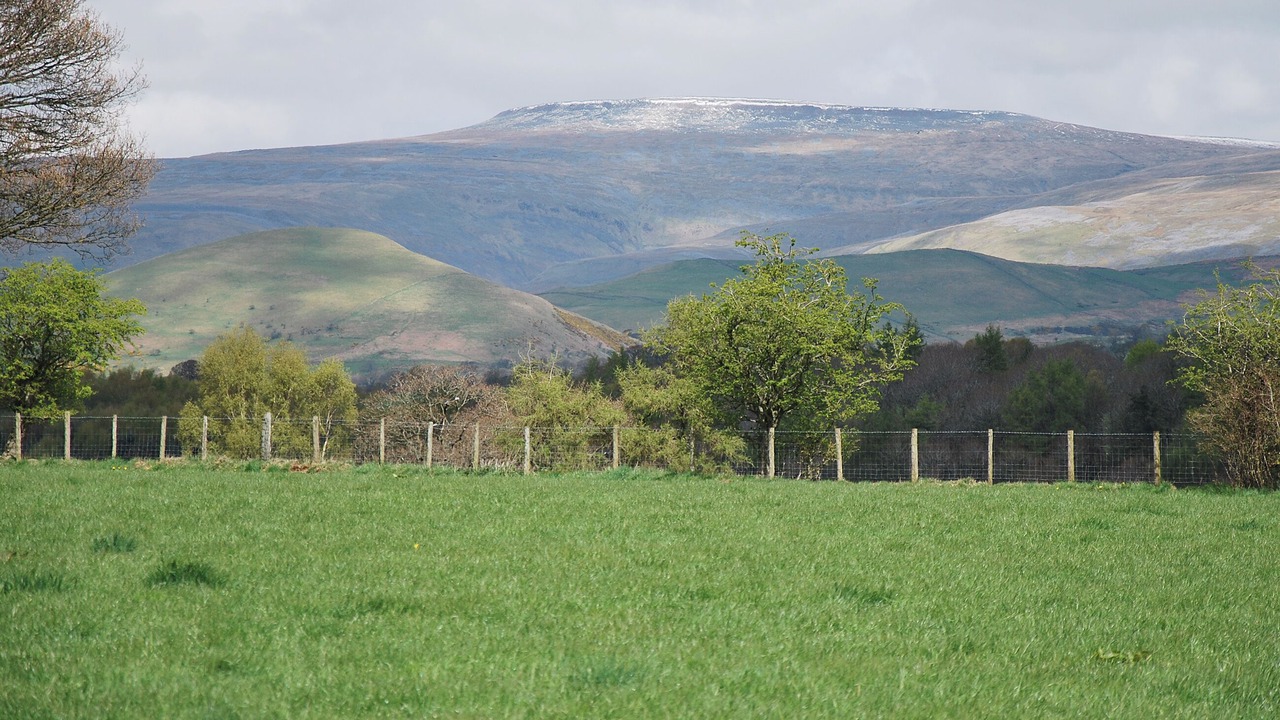 Photo of Others in Appleby-in-Westmorland