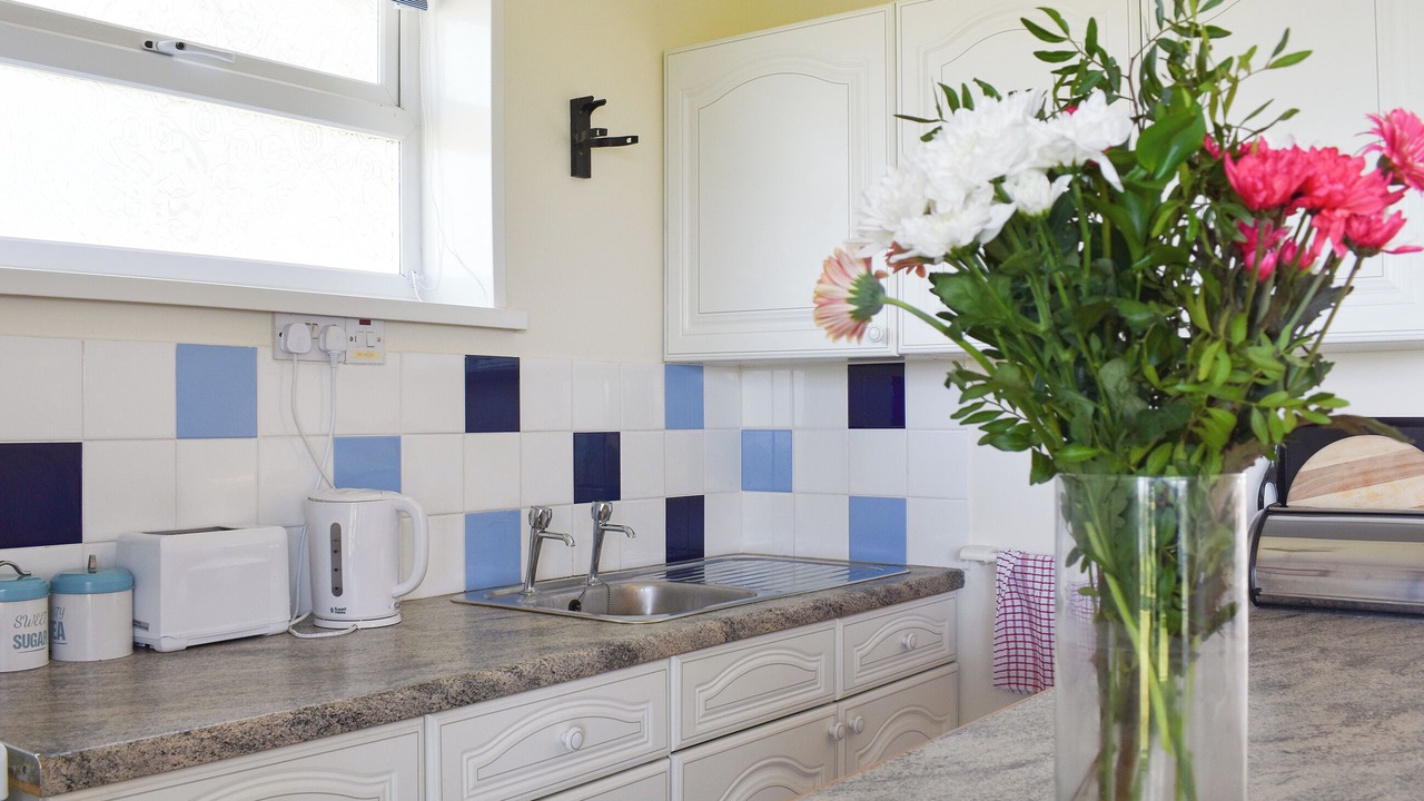 Photo of Others in Freshwater