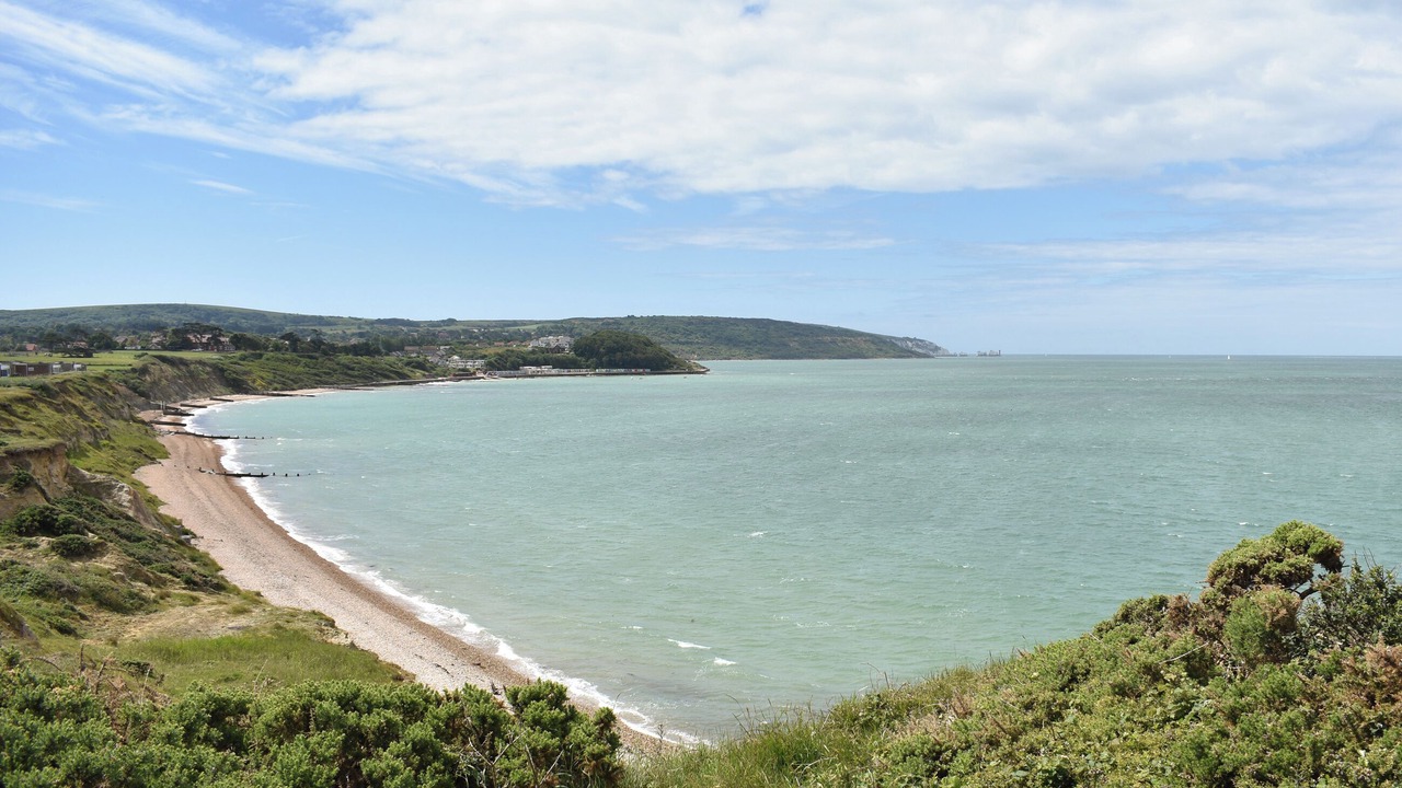 Photo of Others in Freshwater